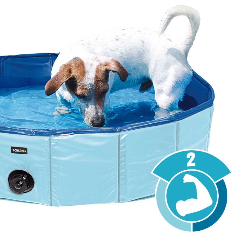 Hundepool Doggy Pool – Pool für Hunde