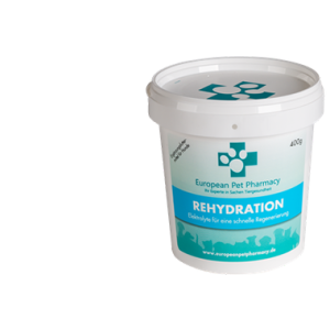 Rehydration – Regeneration für Hunde