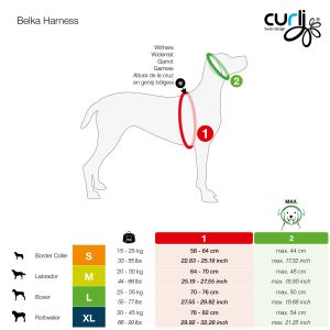 Curli Belka - Individuell anpassbares Geschirr für große Hunde