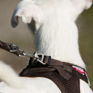 Curli Vest Harness - Brustgeschirr für kleine und mittlere Hunde Schwarz XXXS