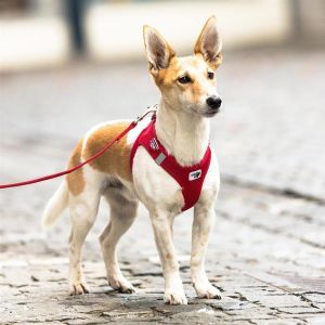 Curli Vest Harness - Brustgeschirr für kleine und mittlere Hunde Schwarz XXS