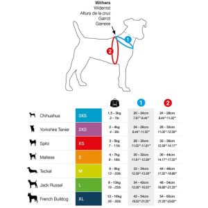 Curli Vest Harness - Brustgeschirr für kleine und mittlere Hunde Blau XXXS