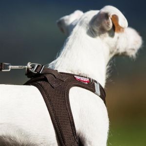 Curli Vest Harness - Brustgeschirr für kleine und mittlere Hunde Blau M