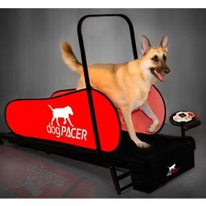 dogPACER LF 3.1 Laufband für Hunde