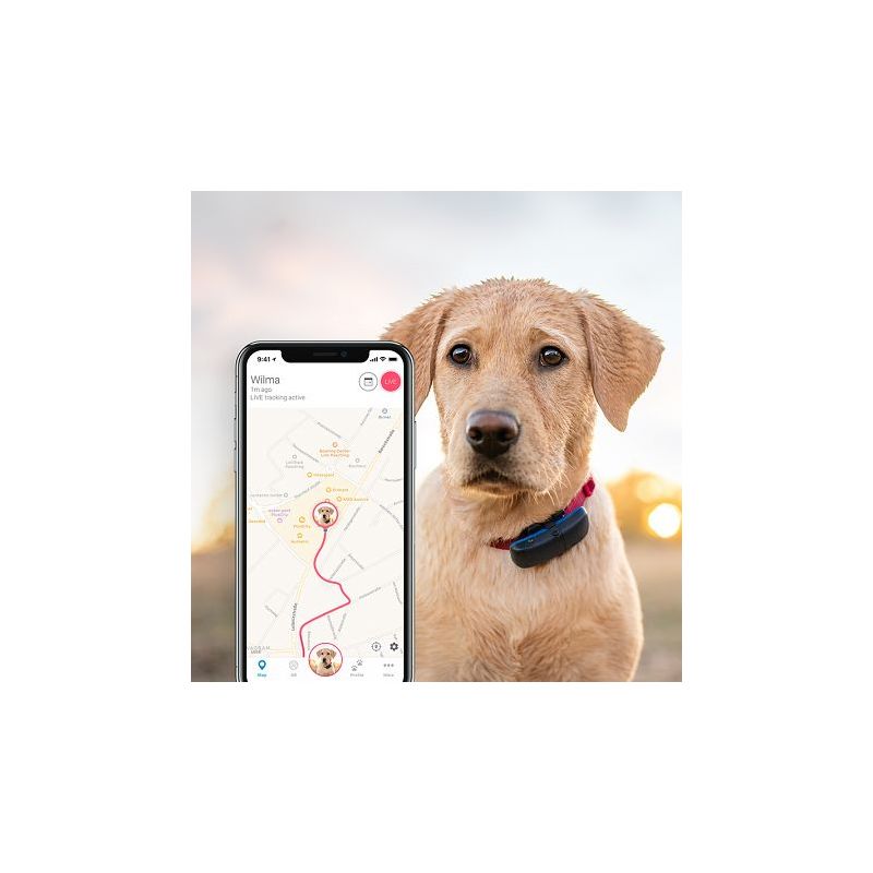 Tractive GPS Pet Tracking – Hundeortung