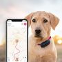 Tractive GPS Pet Tracking - Hundeortung